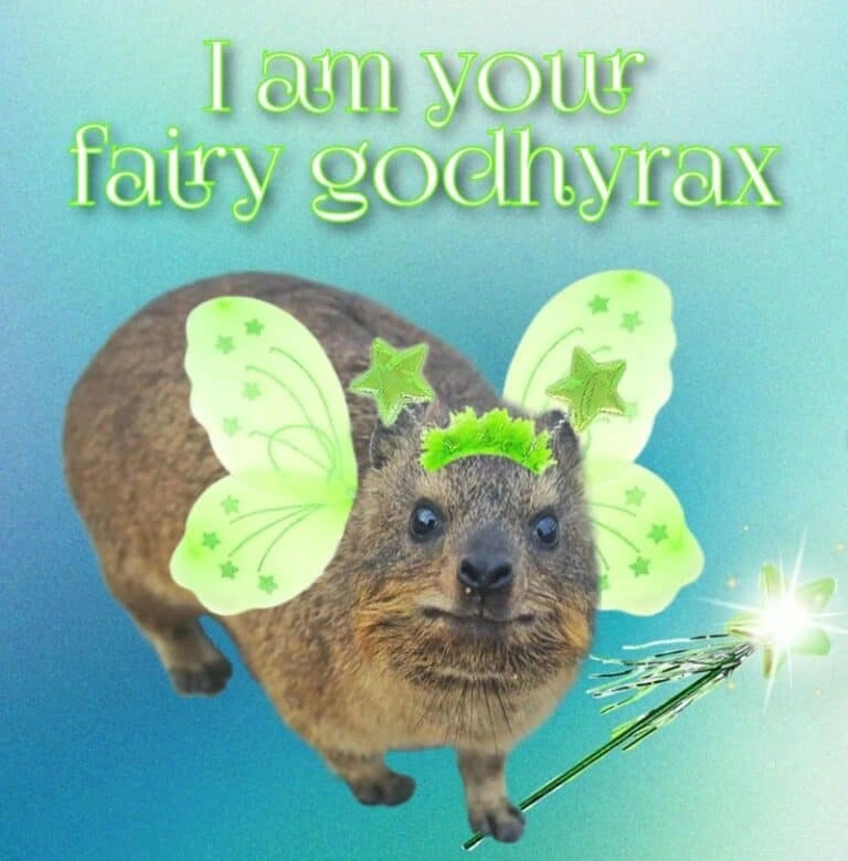 Cena de anime com personagem lendo e segurando um hyrax gigante no colo.