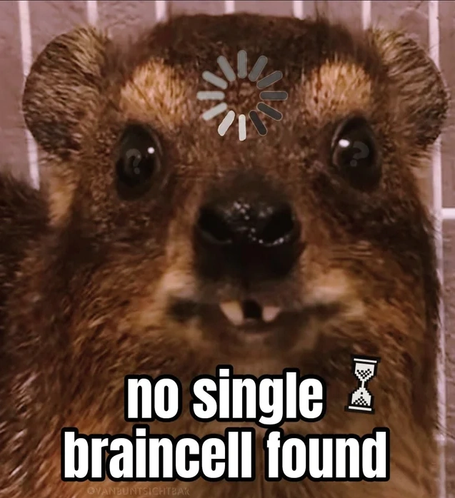 Hyrax com cara confusa, ícones de carregamento e a frase “No single braincell found”.